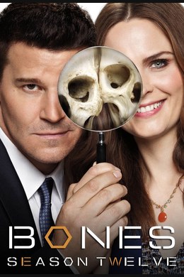 Robo und der Cop