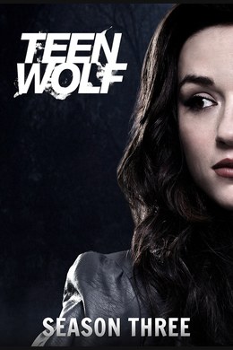 Der Fuchs und der Wolf